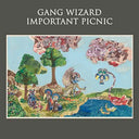GANG WIZARD - Important Picnic |