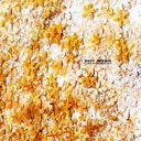 GAVIN HERLIHY - Back Burner [Vinyl]