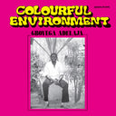 GBOYEGA ADELAJA - Colourful Environment |