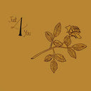 GEORGE SMALLWOOD AND MARSHMELLOW BAND - Just 4 You |