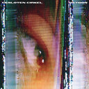 Detoon [Vinyl]