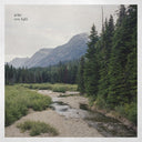 New Light [Vinyl]