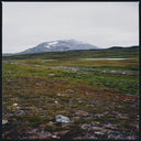 Tundra [Vinyl]