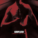Godflesh - A World Lit Only By Fire (White Vinyl) |