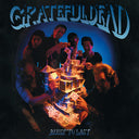 Grateful Dead - Built to Last (Remastered) | Mint (M) Mint (M)