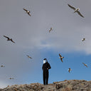 Hamerkop - Remote | Mint (M) Mint (M)