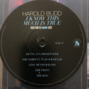 Harold Budd - I Know This Much Is True (Music From The HBO Series) | Mint (M) Mint (M)