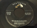 Will His Love Be Like His Rum / Dolly Dawn | Very Good (VG) Generic
