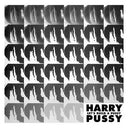 HARRY PUSSY - Let's Build a Pussy |
