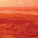 H.C. McEntire - Every Acre (Colored Vinyl, Indie Exclusive, Limited Edition, 140 Gram Vinyl, Orange) [Vinyl]
