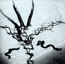 HEAD OF WANTASTIQUET - Mortague |