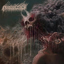 Hierarchies |