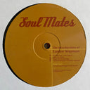 Nina Simone & Lauryn Hill - The Miseducation Of Eunice Waymon (RECORD 2 ONLY) | Mint (M) Generic