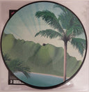 Flamingosis - Daymaker (PICTURE VINYL) | Mint (M) Mint (M)