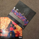 Oliver Tree - Ugly Is Beautiful | Mint (M) Mint (M)