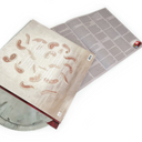 Aesop Rock - Skelethon: 10th Anniversary (CREME & BLACK + CLEAR VINYL) | Mint (M) Mint (M)