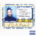 Ol' Dirty Bastard - Return To The 36 Chambers: The Dirty Version | Mint (M) Mint (M)