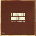 Amerigo Gazaway - A Common Wonder The Instrumentals | Mint (M) Mint (M)