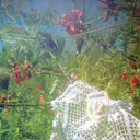 Trick Dice (VINYL) | Mint (M) Mint (M)