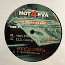 Various - Hot 4 Eva Remixes | Near Mint (NM) Generic