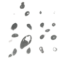 Untitled White Album |