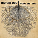 Root Systems |