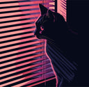 Day-Glo Chaos [CD]