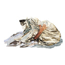 HOME BODY - Spiritus |