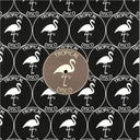 Various - Tropical Disco Records Volume Twenty (VINYL 12" Tropical Disco) | NEW Mint (M) Mint (M)