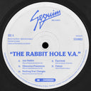 Vince Void - The Rabbit Hole V.A. (VINYL) | Mint (M) Generic
