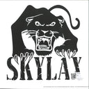 Felipe Gordon - Django Mango (VINYL 12" Skylax) | NEW Mint (M) Generic