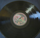 Crazy Penis - Any Signs Of Love (2 X VINYL) | Mint (M) Mint (M)