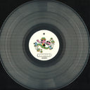 Rayonas - Speedy House Vol. 1 (VINYL) | Mint (M) Mint (M)