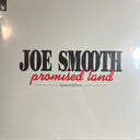 Promised Land (RSD 2025 VINYL) | Mint (M) Near Mint (NM)
