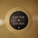 Howe Gelb - The Coincidentalist + Dust Bowl | Mint (M) Mint (M)