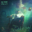 Hozier - Wasteland, Baby! |