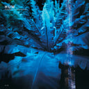 Downward Is Heavenward [Vinyl]