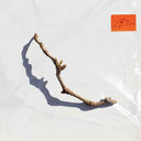 PJ Harvey - I Inside the Old Year Dying [Vinyl]