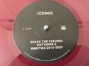 Shake The Feeling - Outtakes And Rarities 2015-2021 | Mint (M) Mint (M)