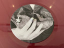 Shake The Feeling - Outtakes And Rarities 2015-2021 | Mint (M) Mint (M)