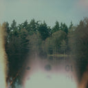 The Loss Of Wilderness (COKE BOTTLE CLEAR) | Mint (M) Mint (M)