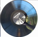 In/Out/In [Vinyl]