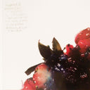 Animal Collective - Strawberry Jam | Mint (M) Mint (M)
