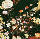 Art Brut Fe De Yoot [CD]
