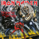 The Number of the Beast (180 Gram Vinyl, Remastered) [Vinyl]