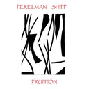 IVO PERELMAN & MATTHEW SHIPP - Fruition |