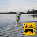 Daisy [CD]