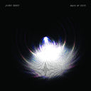 Basis Of Unity (Transluscent Cobalt Blue Vinyl) [Vinyl]