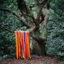 The Animal Spirits [CD]