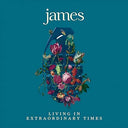 James - Living in Extraordinary Times (2-LP) | Mint (M) Mint (M)